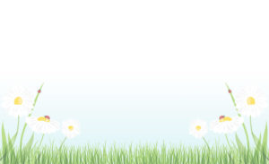 bg-list