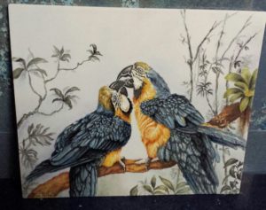 Placca con pappagalli realizzata con colori opachi su placca in biscuit