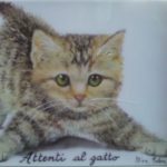 attenti al gatto