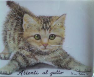 attenti al gatto