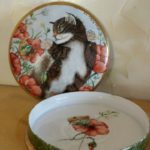 scatola con gatto e papaveri